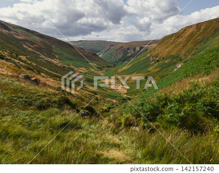 Cadair Berwyn Mountain Summit with Dry Summer Meadows Cadair Berwyn Mountain Summit with Dry Summer Meadows 142157240