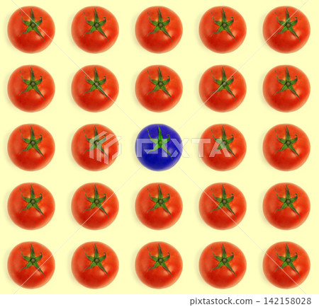 Tomato, row and pattern with odd color in bunch for difference or unique vegetable on background. Group or isolated fresh produce, line or column with blue organic food in collection for selection Tomato, row and pattern with odd color in bunch for difference or unique vegetable on background. Group or isolated fresh produce, line or column with blue organic food in collection for selection 142158028