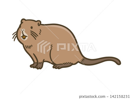 入侵種海狸鼠的插圖 | 指定入侵外來種/野生動物 入侵種海狸鼠的插圖 | 指定入侵外來種/野生動物 142158231