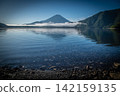 富士山沐浴在黎明的藍色光芒中。 142159135
