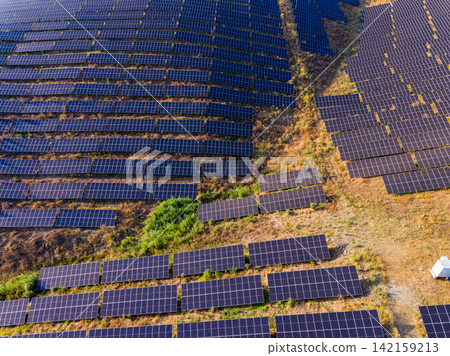Solar panels cover a large area in a field located in a rural setting with sunlight shining on them during the day Solar panels cover a large area in a field located in a rural setting with sunlight shining on them during the day 142159213