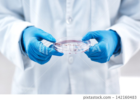 Hands, petri dish and pharmaceutical research for bacteria, medicine and medical development. Person, laboratory and discovery for innovation, life extension and professional biochemistry expert Hands, petri dish and pharmaceutical research for bacteria, medicine and medical development. Person, laboratory and discovery for innovation, life extension and professional biochemistry expert 142160483