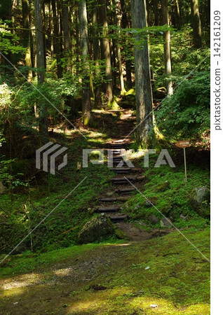 Oguriyama (Inabu Town, Aichi Prefecture) Oguriyama (Inabu Town, Aichi Prefecture) 142161209