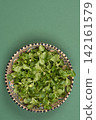 Corn Salad in Ceramic Bowl on Green Background 142161579