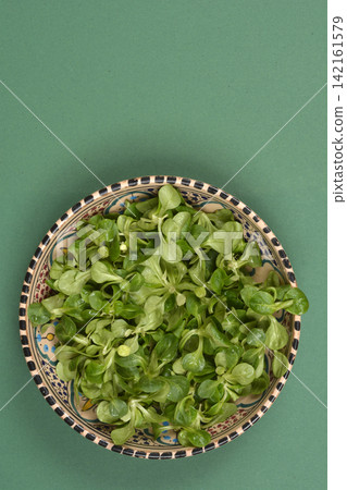 Corn Salad in Ceramic Bowl on Green Background 142161579