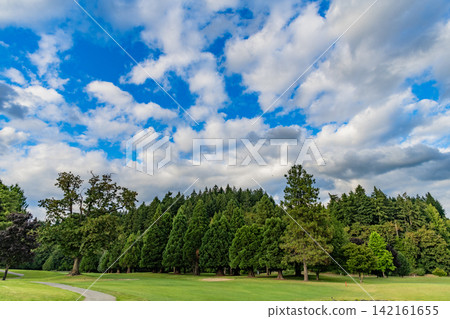 Nature of forest. Green forest wood landscape in summer. Nature of mixed forest. Landscape of meadow at park. Summer park zone nature. Scenic landscape of woodland. Public park with dramatic sky Nature of forest. Green forest wood landscape in summer. Nature of mixed forest. Landscape of meadow at park. Summer park zone nature. Scenic landscape of woodland. Public park with dramatic sky 142161655