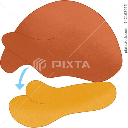 ribosome biology illustration ribosome biology illustration 142162055