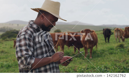 Black man, farmer and cows with tablet in agriculture, production or monitoring natural growth in countryside. African male person or farming business with technology, livestock or cattle on farmland Black man, farmer and cows with tablet in agriculture, production or monitoring natural growth in countryside. African male person or farming business with technology, livestock or cattle on farmland 142162762
