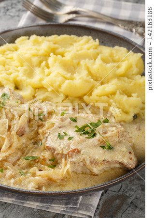 Zwiebelschnitzel is a delicious German schnitzel with aromatic onion sauce with mashed potatoes closeup on the plate. Vertical Zwiebelschnitzel is a delicious German schnitzel with aromatic onion sauce with mashed potatoes closeup on the plate. Vertical 142163188