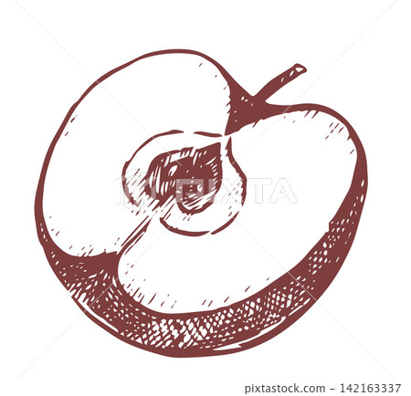 Half an apple, vintage vector illustration, hand-drawn sketch. Half an apple, vintage vector illustration, hand-drawn sketch. 142163337