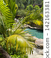 Lush palm leaves framing a turquoise resort pool 142163381