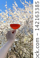 Hand holding an orange cocktail 142163385