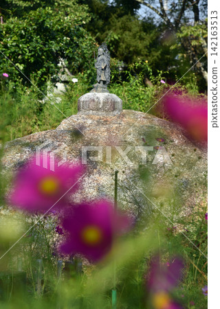 Fudo Myoo and cosmos flowers at Hannya-ji Temple Fudo Myoo and cosmos flowers at Hannya-ji Temple 142163513