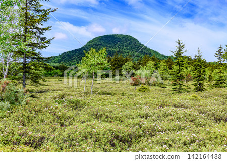 北海道弟子屈町的硫磺山和杜鵑原 北海道弟子屈町的硫磺山和杜鵑原 142164488