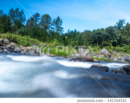 Long exposure photograph of a scenic mountain river flowing rapidly over smooth rocks through a lush green pine forest under a clear blue sky with bright white clouds. In Songgon, Banyuwangi, East Jav Long exposure photograph of a scenic mountain river flowing rapidly over smooth rocks through a lush green pine forest under a clear blue sky with bright white clouds. In Songgon, Banyuwangi, East Jav 142164581