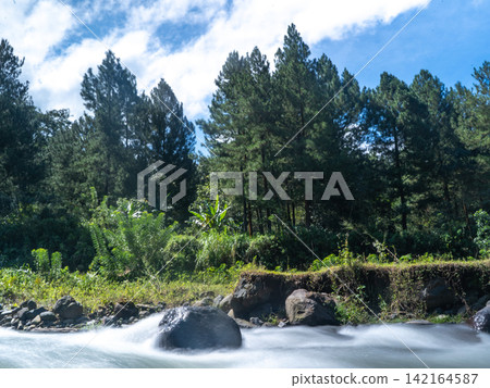 Long exposure photograph of a scenic mountain river flowing rapidly over smooth rocks through a lush green pine forest under a clear blue sky with bright white clouds. In Songgon, Banyuwangi, East Jav Long exposure photograph of a scenic mountain river flowing rapidly over smooth rocks through a lush green pine forest under a clear blue sky with bright white clouds. In Songgon, Banyuwangi, East Jav 142164587