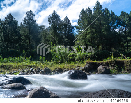 Long exposure photograph of a scenic mountain river flowing rapidly over smooth rocks through a lush green pine forest under a clear blue sky with bright white clouds. In Songgon, Banyuwangi, East Jav Long exposure photograph of a scenic mountain river flowing rapidly over smooth rocks through a lush green pine forest under a clear blue sky with bright white clouds. In Songgon, Banyuwangi, East Jav 142164588