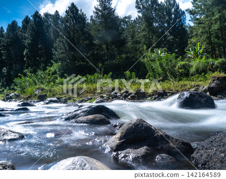 Long exposure photograph of a scenic mountain river flowing rapidly over smooth rocks through a lush green pine forest under a clear blue sky with bright white clouds. In Songgon, Banyuwangi, East Jav Long exposure photograph of a scenic mountain river flowing rapidly over smooth rocks through a lush green pine forest under a clear blue sky with bright white clouds. In Songgon, Banyuwangi, East Jav 142164589
