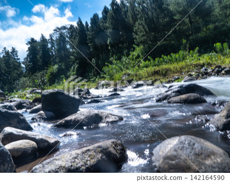 Long exposure photograph of a scenic mountain river flowing rapidly over smooth rocks through a lush green pine forest under a clear blue sky with bright white clouds. In Songgon, Banyuwangi, East Jav Long exposure photograph of a scenic mountain river flowing rapidly over smooth rocks through a lush green pine forest under a clear blue sky with bright white clouds. In Songgon, Banyuwangi, East Jav 142164590
