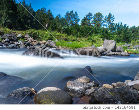 Long exposure photograph of a scenic mountain river flowing rapidly over smooth rocks through a lush green pine forest under a clear blue sky with bright white clouds. In Songgon, Banyuwangi, East Jav Long exposure photograph of a scenic mountain river flowing rapidly over smooth rocks through a lush green pine forest under a clear blue sky with bright white clouds. In Songgon, Banyuwangi, East Jav 142164591