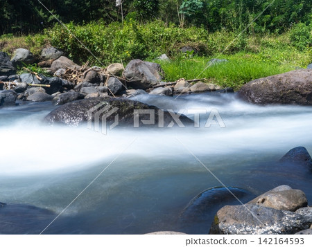 Long exposure photograph of a scenic mountain river flowing rapidly over smooth rocks through a lush green pine forest under a clear blue sky with bright white clouds. In Songgon, Banyuwangi, East Jav Long exposure photograph of a scenic mountain river flowing rapidly over smooth rocks through a lush green pine forest under a clear blue sky with bright white clouds. In Songgon, Banyuwangi, East Jav 142164593