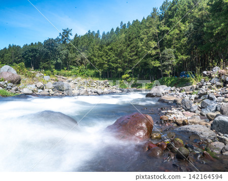 Long exposure photograph of a scenic mountain river flowing rapidly over smooth rocks through a lush green pine forest under a clear blue sky with bright white clouds. In Songgon, Banyuwangi, East Jav Long exposure photograph of a scenic mountain river flowing rapidly over smooth rocks through a lush green pine forest under a clear blue sky with bright white clouds. In Songgon, Banyuwangi, East Jav 142164594