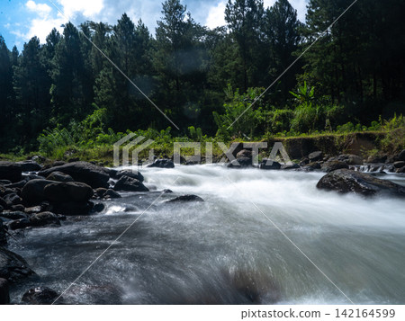Long exposure photograph of a scenic mountain river flowing rapidly over smooth rocks through a lush green pine forest under a clear blue sky with bright white clouds. In Songgon, Banyuwangi, East Jav Long exposure photograph of a scenic mountain river flowing rapidly over smooth rocks through a lush green pine forest under a clear blue sky with bright white clouds. In Songgon, Banyuwangi, East Jav 142164599