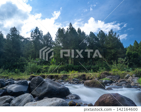 Long exposure photograph of a scenic mountain river flowing rapidly over smooth rocks through a lush green pine forest under a clear blue sky with bright white clouds. In Songgon, Banyuwangi, East Jav Long exposure photograph of a scenic mountain river flowing rapidly over smooth rocks through a lush green pine forest under a clear blue sky with bright white clouds. In Songgon, Banyuwangi, East Jav 142164600