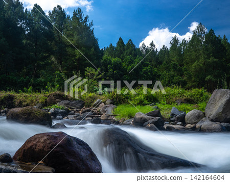 Long exposure photograph of a scenic mountain river flowing rapidly over smooth rocks through a lush green pine forest under a clear blue sky with bright white clouds. In Songgon, Banyuwangi, East Jav Long exposure photograph of a scenic mountain river flowing rapidly over smooth rocks through a lush green pine forest under a clear blue sky with bright white clouds. In Songgon, Banyuwangi, East Jav 142164604