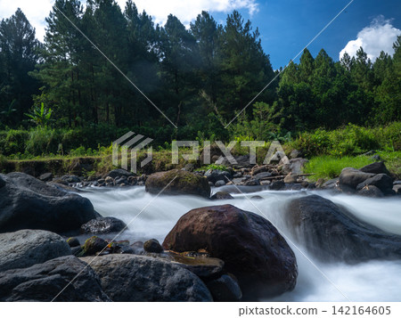 Long exposure photograph of a scenic mountain river flowing rapidly over smooth rocks through a lush green pine forest under a clear blue sky with bright white clouds. In Songgon, Banyuwangi, East Jav Long exposure photograph of a scenic mountain river flowing rapidly over smooth rocks through a lush green pine forest under a clear blue sky with bright white clouds. In Songgon, Banyuwangi, East Jav 142164605