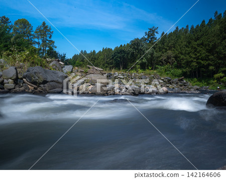 Long exposure photograph of a scenic mountain river flowing rapidly over smooth rocks through a lush green pine forest under a clear blue sky with bright white clouds. In Songgon, Banyuwangi, East Jav Long exposure photograph of a scenic mountain river flowing rapidly over smooth rocks through a lush green pine forest under a clear blue sky with bright white clouds. In Songgon, Banyuwangi, East Jav 142164606