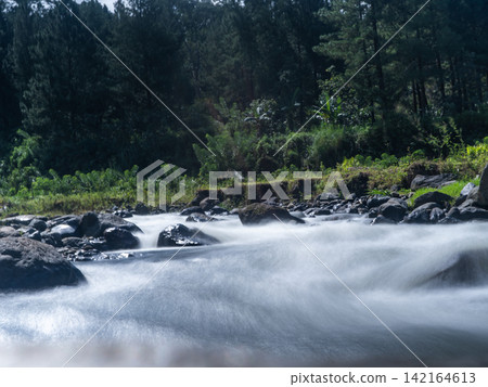 Long exposure photograph of a scenic mountain river flowing rapidly over smooth rocks through a lush green pine forest under a clear blue sky with bright white clouds. In Songgon, Banyuwangi, East Jav Long exposure photograph of a scenic mountain river flowing rapidly over smooth rocks through a lush green pine forest under a clear blue sky with bright white clouds. In Songgon, Banyuwangi, East Jav 142164613