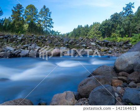 Long exposure photograph of a scenic mountain river flowing rapidly over smooth rocks through a lush green pine forest under a clear blue sky with bright white clouds. In Songgon, Banyuwangi, East Jav 142164615