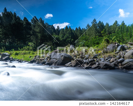 Long exposure photograph of a scenic mountain river flowing rapidly over smooth rocks through a lush green pine forest under a clear blue sky with bright white clouds. In Songgon, Banyuwangi, East Jav Long exposure photograph of a scenic mountain river flowing rapidly over smooth rocks through a lush green pine forest under a clear blue sky with bright white clouds. In Songgon, Banyuwangi, East Jav 142164617