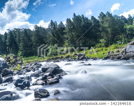 Long exposure photograph of a scenic mountain river flowing rapidly over smooth rocks through a lush green pine forest under a clear blue sky with bright white clouds. In Songgon, Banyuwangi, East Jav Long exposure photograph of a scenic mountain river flowing rapidly over smooth rocks through a lush green pine forest under a clear blue sky with bright white clouds. In Songgon, Banyuwangi, East Jav 142164618