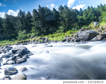 Long exposure photograph of a scenic mountain river flowing rapidly over smooth rocks through a lush green pine forest under a clear blue sky with bright white clouds. In Songgon, Banyuwangi, East Jav Long exposure photograph of a scenic mountain river flowing rapidly over smooth rocks through a lush green pine forest under a clear blue sky with bright white clouds. In Songgon, Banyuwangi, East Jav 142164619