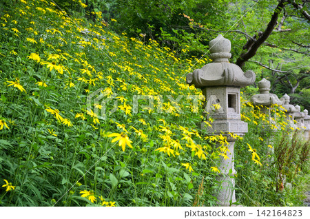 A prayer surrounded by greenery A prayer surrounded by greenery 142164823