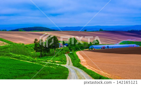 Countryside scenery of Biei Countryside scenery of Biei 142165121