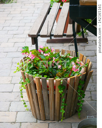 Wooden planter with pink flowers standing on the patio. Decorative garden pot with blooming plants outdoors. Landscaping and home exterior design concept for summer backyard decoration. Wooden planter with pink flowers standing on the patio. Decorative garden pot with blooming plants outdoors. Landscaping and home exterior design concept for summer backyard decoration. 142165161