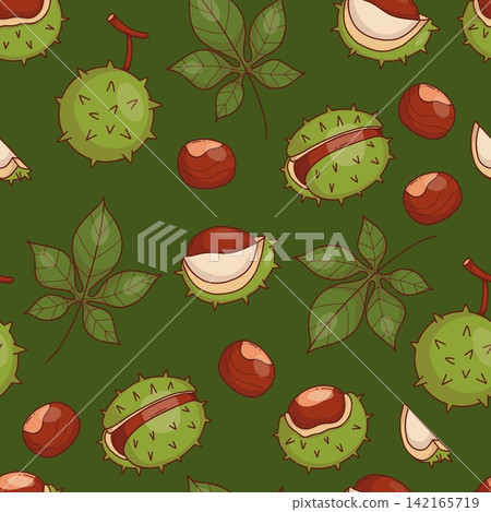 Chestnut Seamless Pattern. Fruit and Leaves of Tree Whole, Open And Peeled Nuts In Spiky Husks on Dark Green Background. Hand Drawn. Autumn Harvest. Vector Illustration for seasonal Botanical Design. Chestnut Seamless Pattern. Fruit and Leaves of Tree Whole, Open And Peeled Nuts In Spiky Husks on Dark Green Background. Hand Drawn. Autumn Harvest. Vector Illustration for seasonal Botanical Design. 142165719