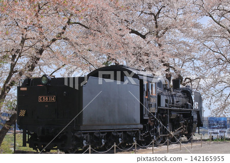 岩手山城遺址公園(宮城縣大崎市)的蒸氣機車和櫻花 岩手山城遺址公園(宮城縣大崎市)的蒸氣機車和櫻花 142165955