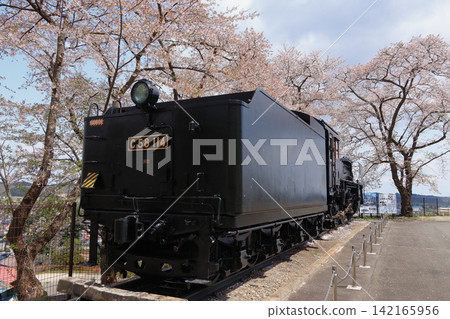 A steam locomotive and cherry blossoms at Iwadeyama Castle Ruins Park (Osaki City, Miyagi Prefecture) A steam locomotive and cherry blossoms at Iwadeyama Castle Ruins Park (Osaki City, Miyagi Prefecture) 142165956