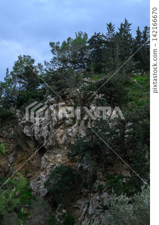Majestic rocky landscape adorned with evergreen trees at dusk in a tranquil natural setting Majestic rocky landscape adorned with evergreen trees at dusk in a tranquil natural setting 142166670