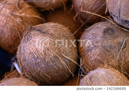 Freshly harvested coconuts displayed at a vibrant market in the tropics during a sunny afternoon Freshly harvested coconuts displayed at a vibrant market in the tropics during a sunny afternoon 142166680
