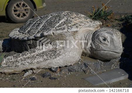 Concrete turtle sculpture resting on the ground among plants in a sunny outdoor Concrete turtle sculpture resting on the ground among plants in a sunny outdoor 142166718