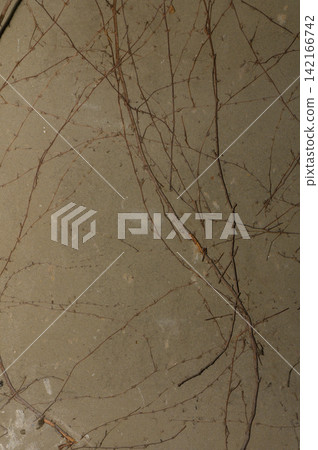 Delicate twigs tracing nature's calm patterns on a muted surface Delicate twigs tracing nature's calm patterns on a muted surface 142166742