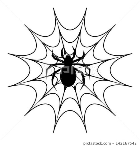 Black spider silhouette on cobweb isolated on white background Black spider silhouette on cobweb isolated on white background 142167542