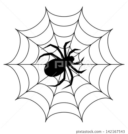 Black spider silhouette on cobweb isolated on white background Black spider silhouette on cobweb isolated on white background 142167543