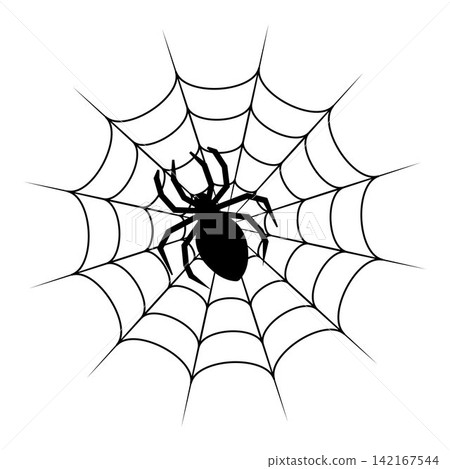 Black spider silhouette on cobweb isolated on white background Black spider silhouette on cobweb isolated on white background 142167544