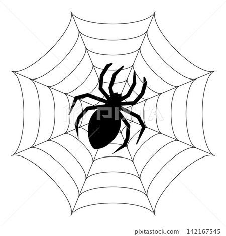 Black spider silhouette on cobweb isolated on white background Black spider silhouette on cobweb isolated on white background 142167545